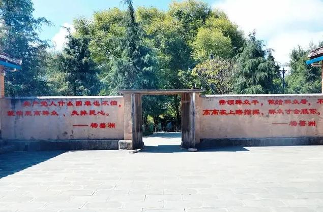 善洲林场